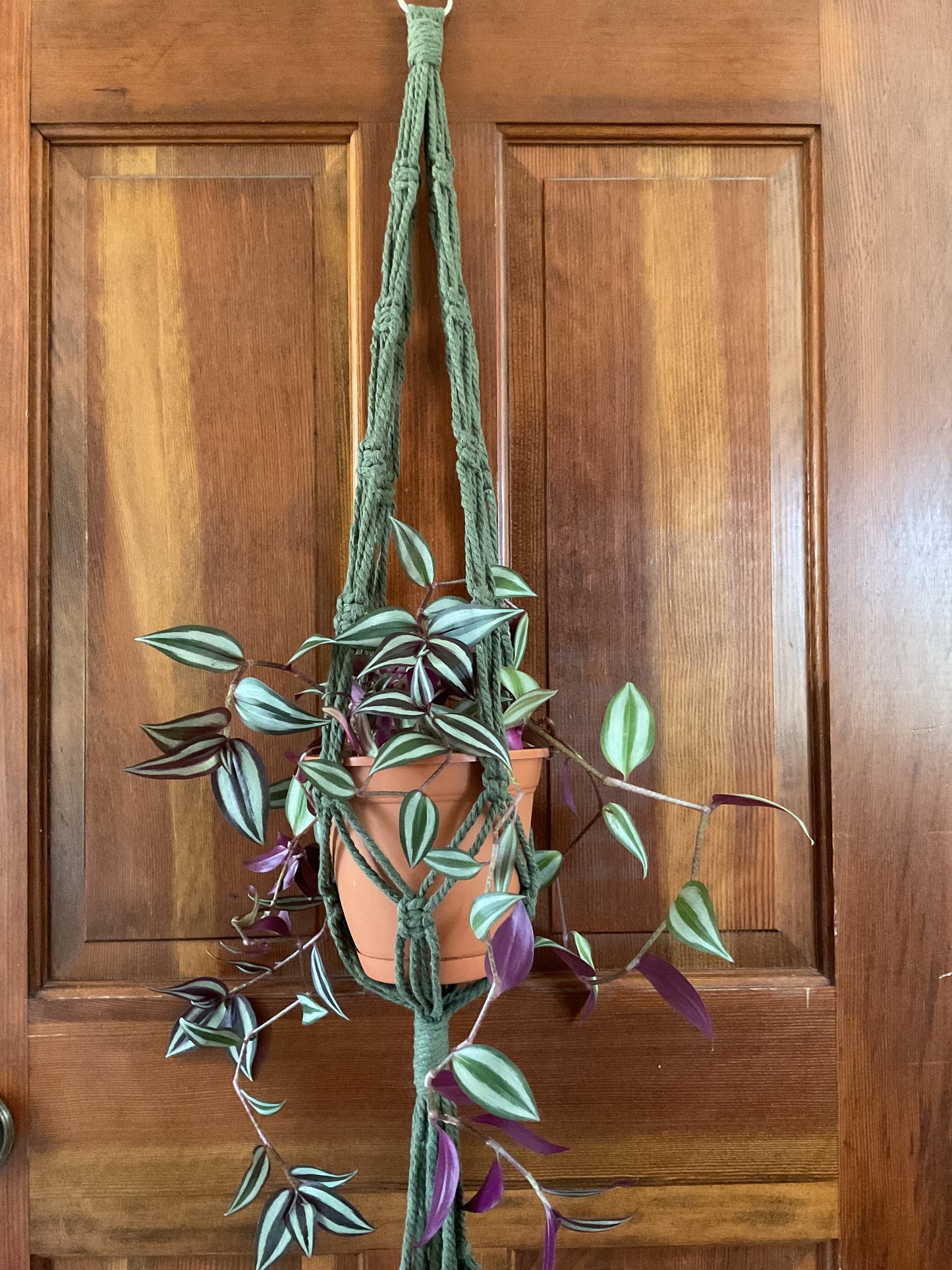 Cotton Macramé Plant Hanger