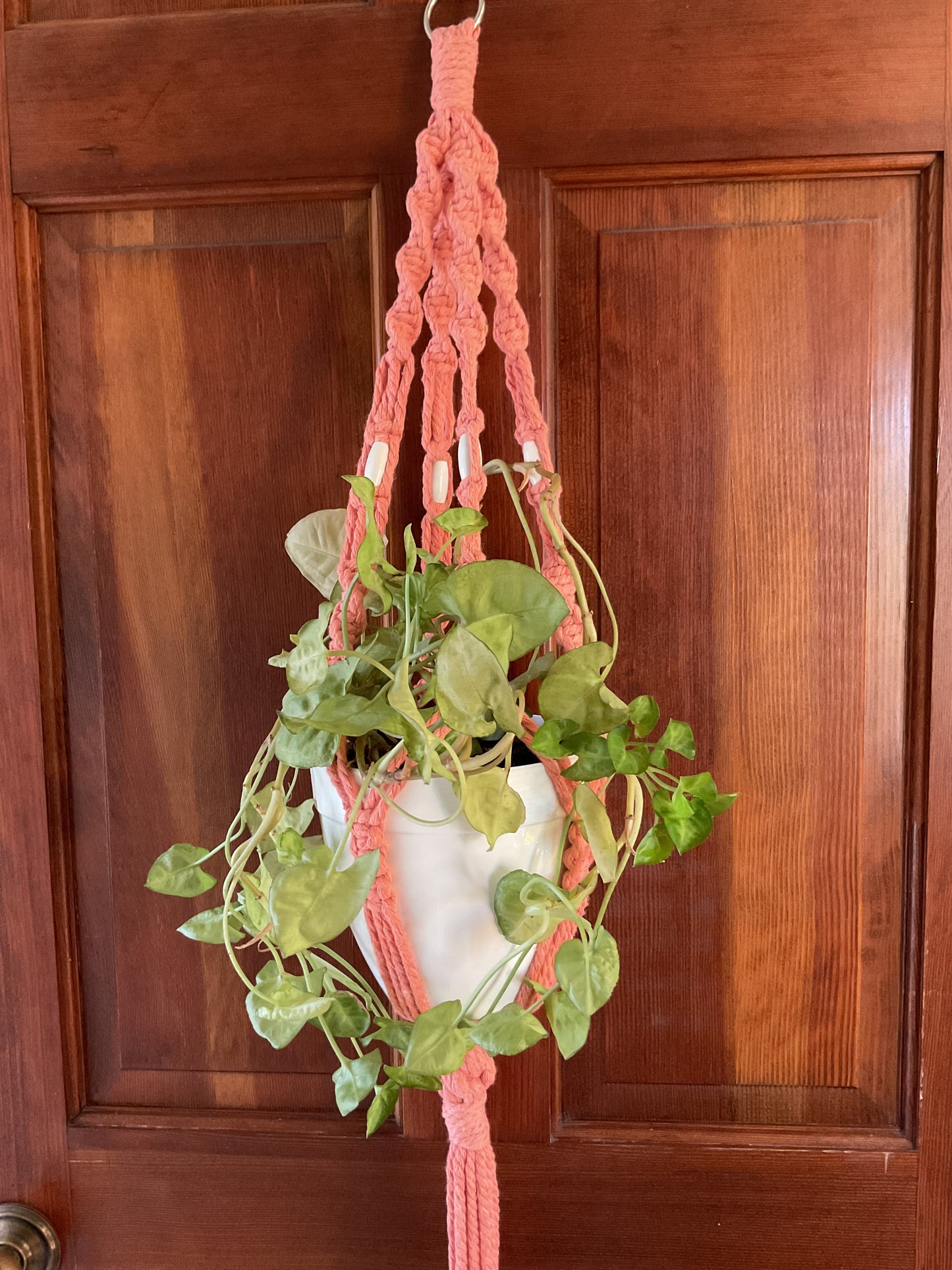 Cotton Macramé Plant Hanger