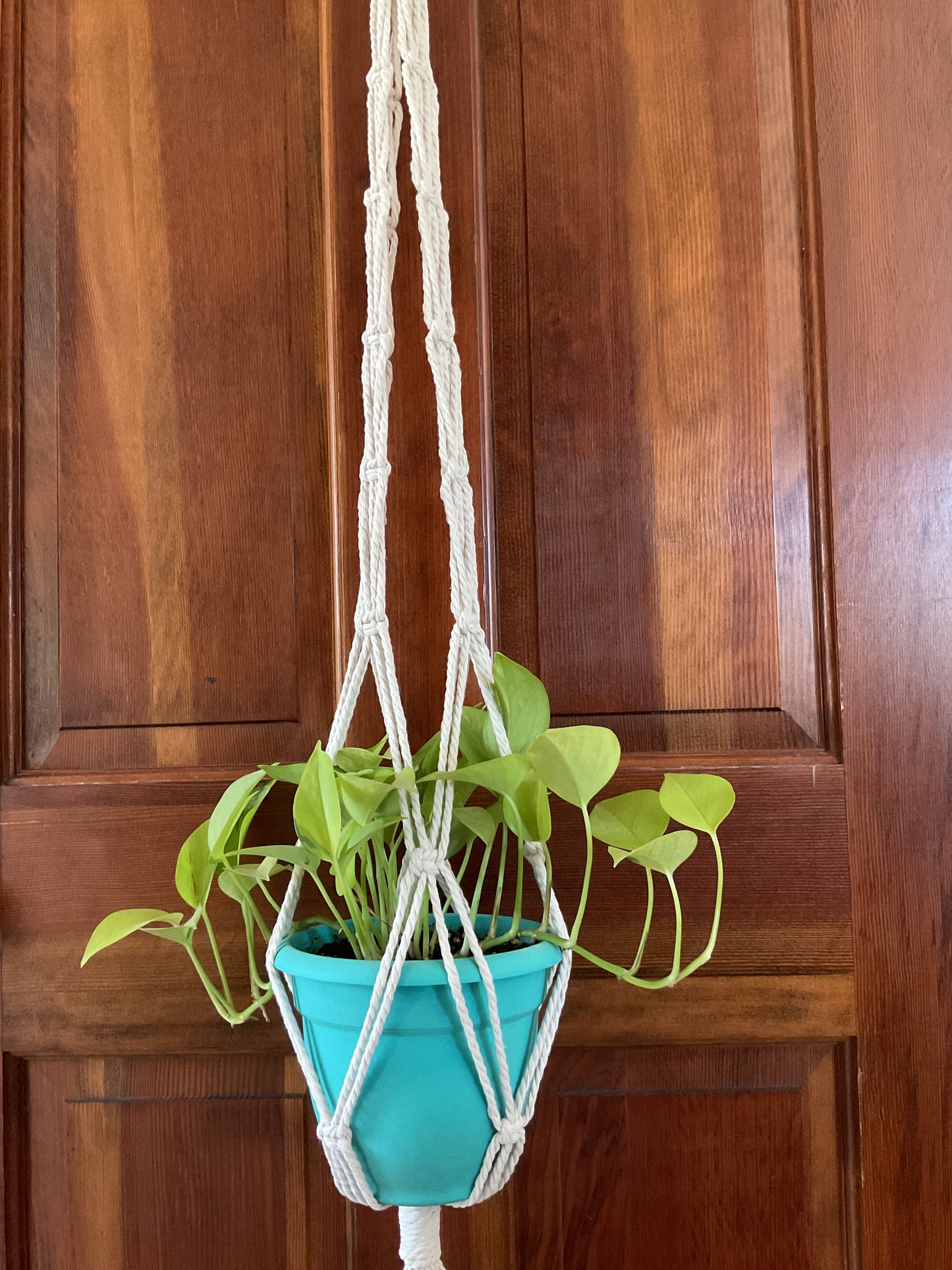 Cotton Macramé Plant Hanger