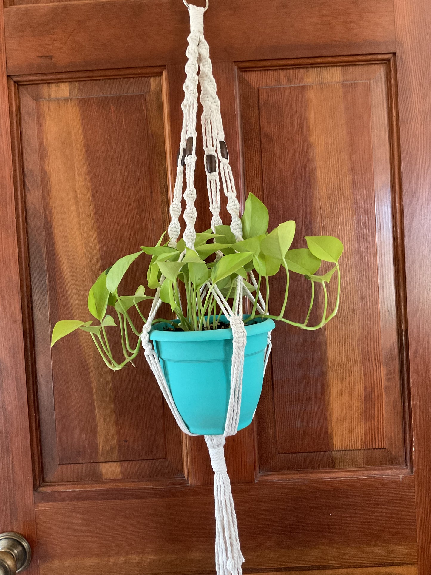 Cotton Macramé Plant Hanger