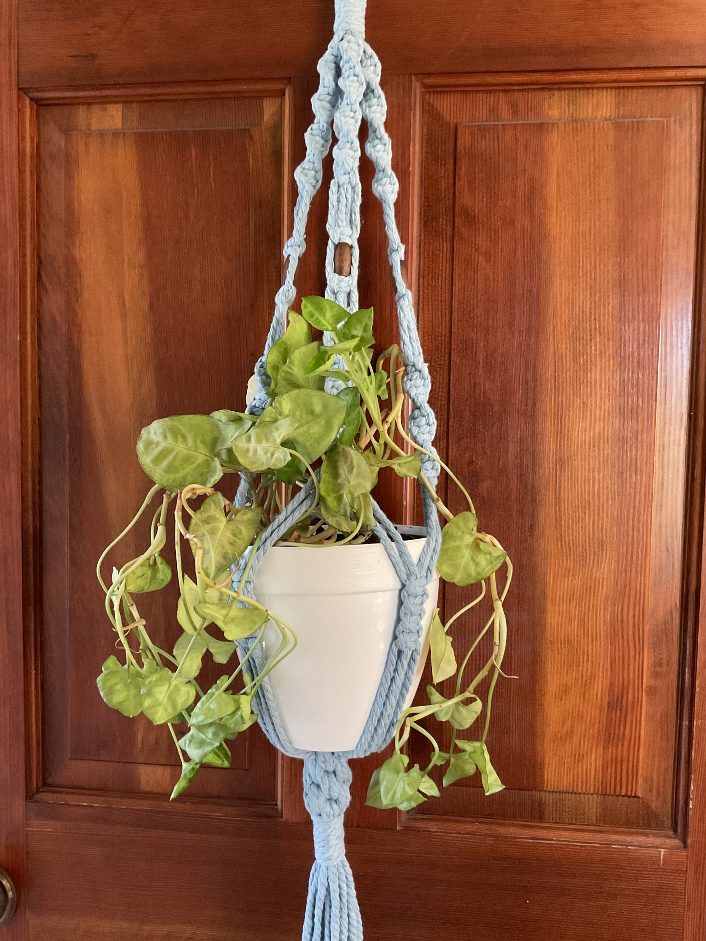 Cotton Macramé Plant Hanger