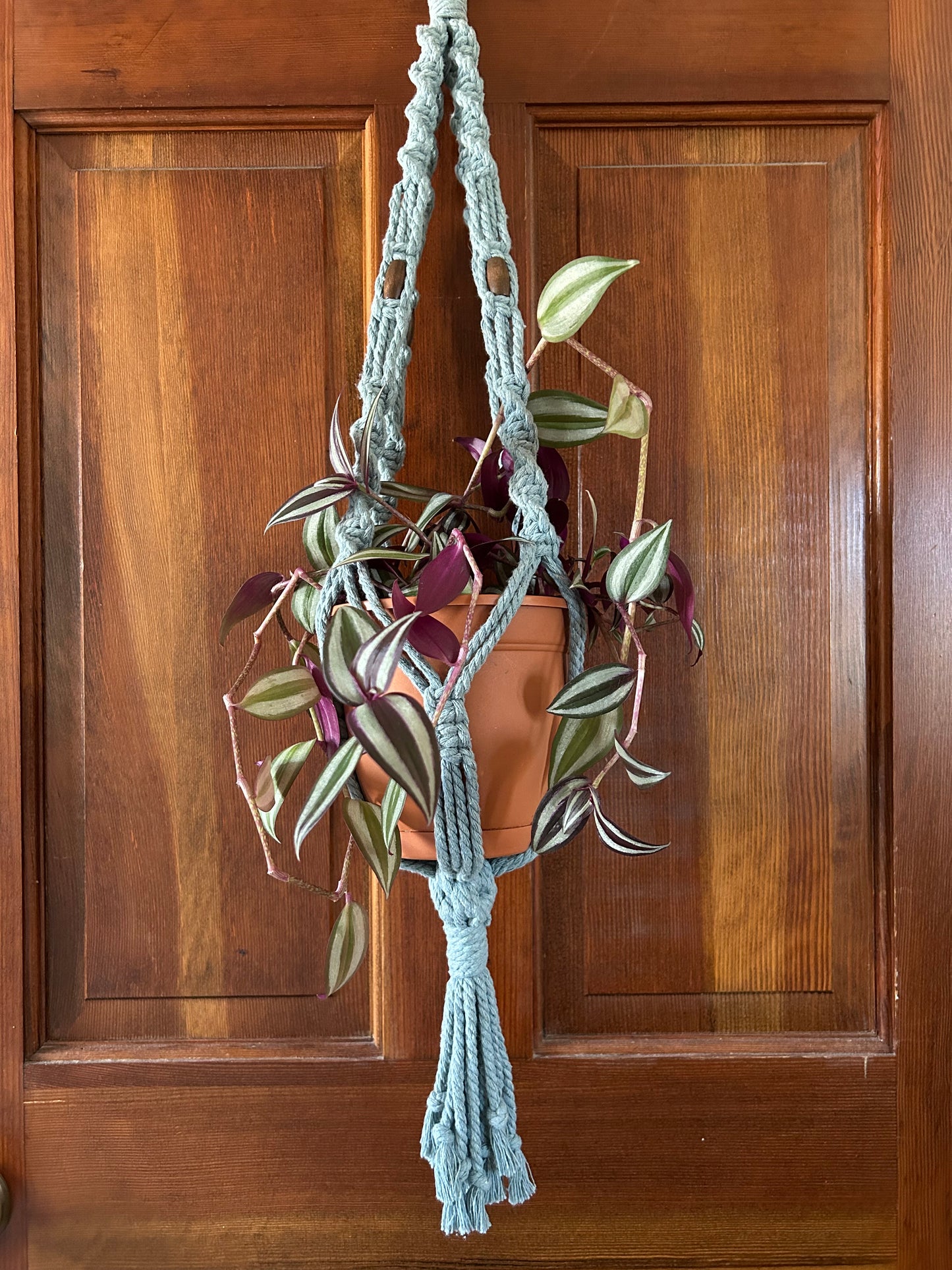 Cotton Macramé Plant Hanger